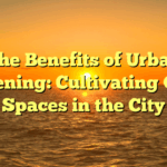 The Benefits of Urban Gardening: Cultivating Green Spaces in the City